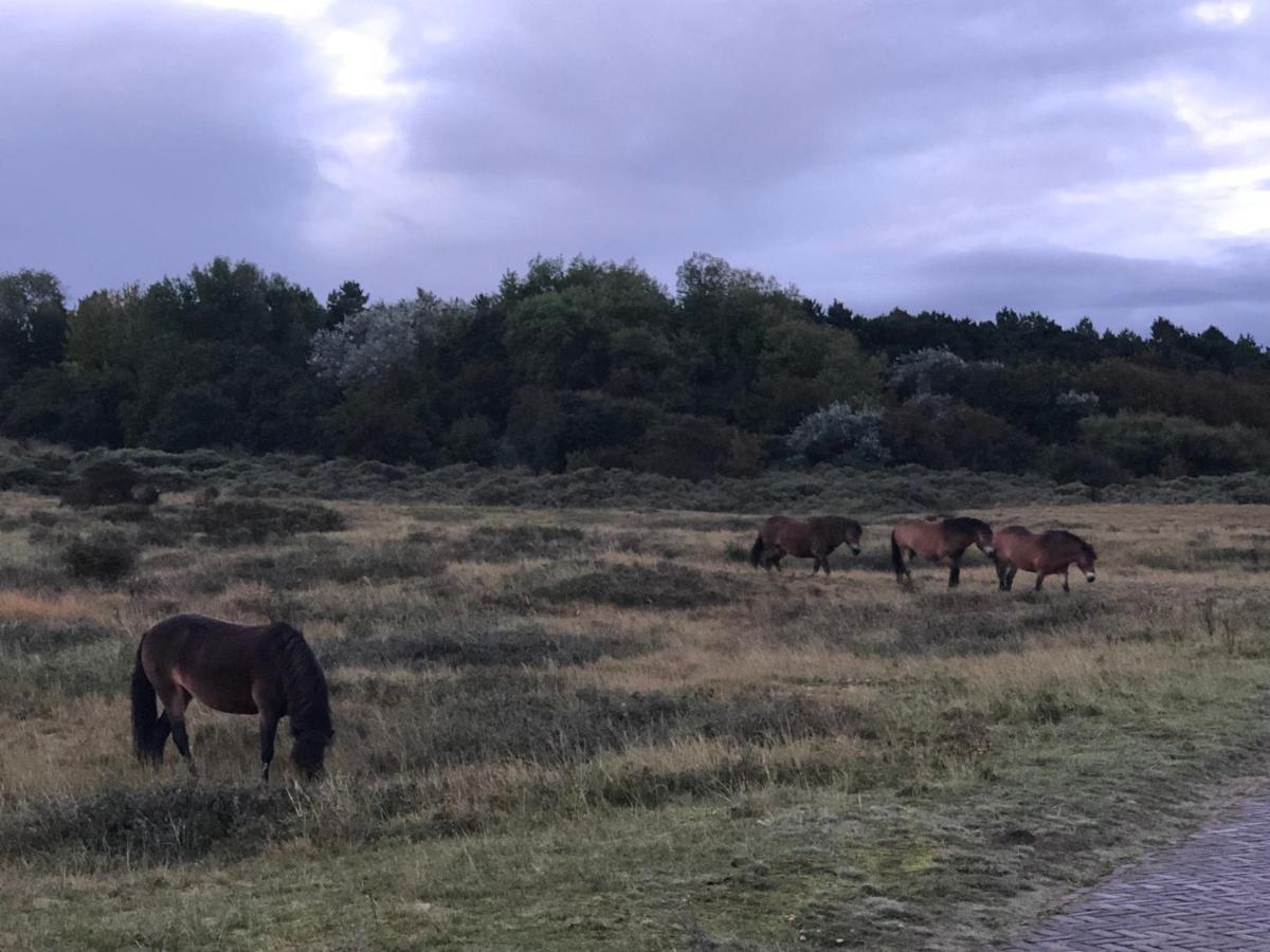 Familiehuis Achter De Duijnhoeve Zuidbakkum Exteriér fotografie