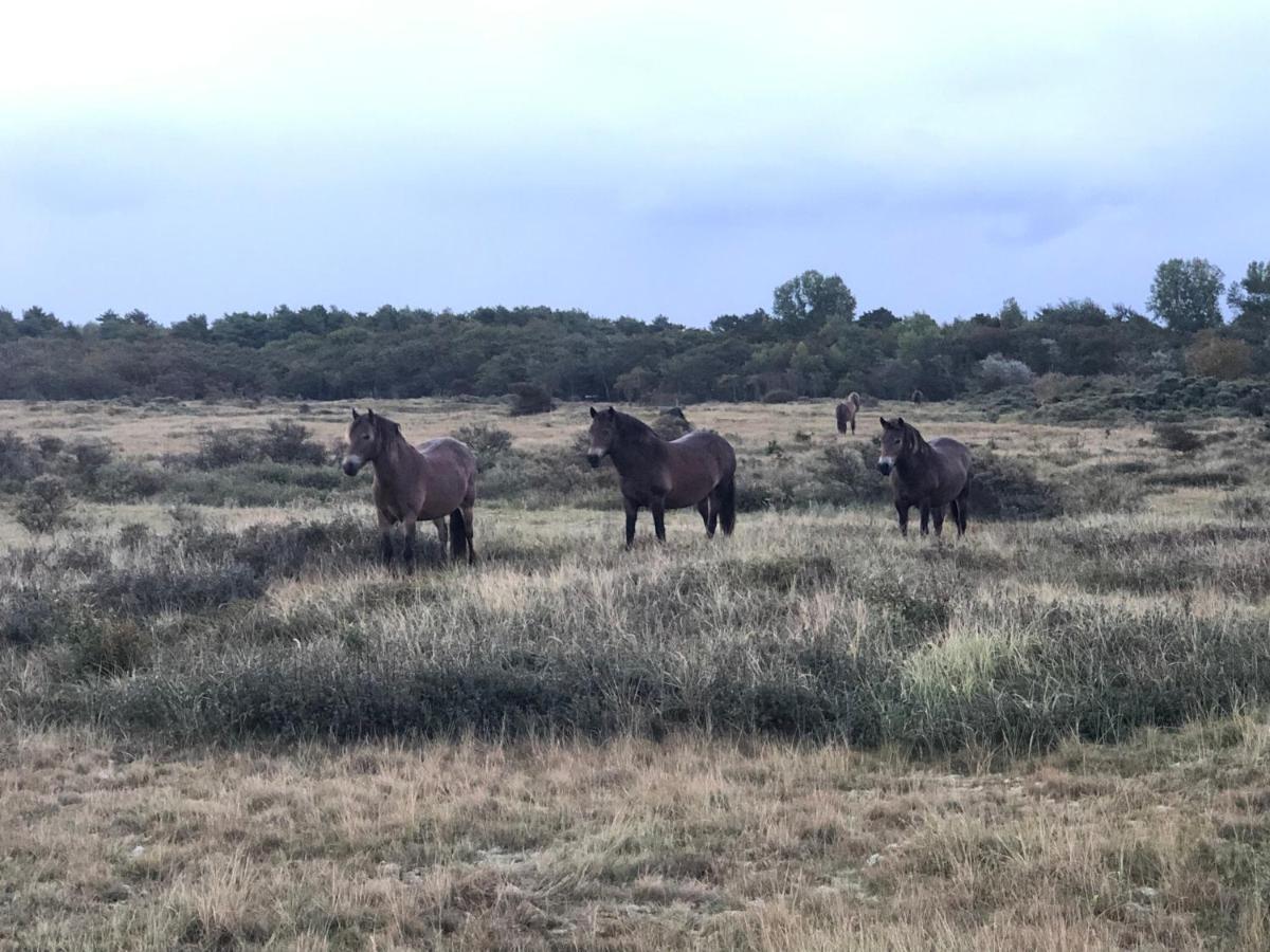 Familiehuis Achter De Duijnhoeve Zuidbakkum Exteriér fotografie